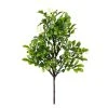 Top 10 😍 Boxwood Pick By Ashland® 🎁 -Ashlandty Shop 10546920 1