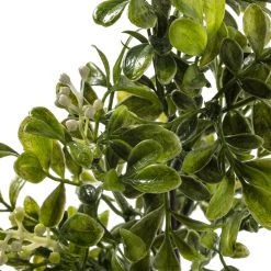 Top 10 😍 Boxwood Pick By Ashland® 🎁 -Ashlandty Shop 10546920 20