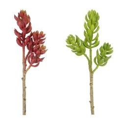 Flash Sale 🤩 24 Pack: Assorted 3 Head Succulent Pick by Ashland® 🛒