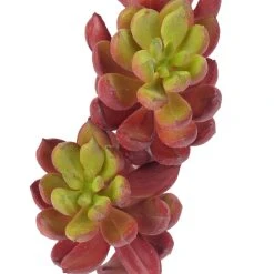 Brand new 💯 Assorted Succulent Pick with 3 Heads By Ashland® 🧨 -Ashlandty Shop 10546921 2