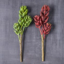 Brand new 💯 Assorted Succulent Pick with 3 Heads By Ashland® 🧨 -Ashlandty Shop 10546921 22