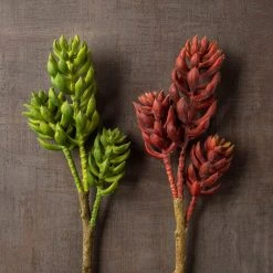 Brand new 💯 Assorted Succulent Pick with 3 Heads By Ashland® 🧨 -Ashlandty Shop 10546921 25