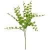 Cheap ✔️ 18 Pack: Assorted Fern Pick by Ashland® 😉 -Ashlandty Shop 10546923 1 1
