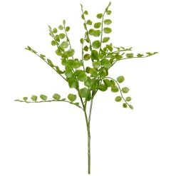 Cheap βοΈ 18 Pack: Assorted Fern Pick by Ashland® π 8 Cheap βοΈ 18 Pack: Assorted Fern Pick by Ashland® π -Ashlandty Shop 10546923 2