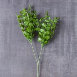 Coupon 🧨 Assorted Fern Pick By Ashland® 😉 -Ashlandty Shop 10546923 22