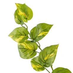 Deals 😉 Hanging Philo Bush by Ashland® 💯 -Ashlandty Shop 10547222 20