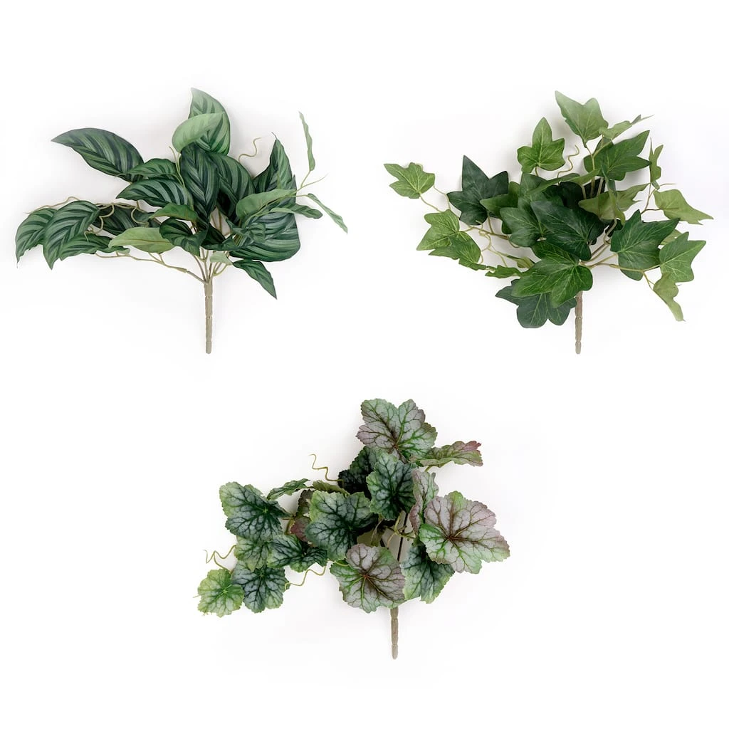 Deals 🛒 12 Pack: Assorted Ivy Leaf Pick by Ashland® 💯 3 Deals 🛒 12 Pack: Assorted Ivy Leaf Pick by Ashland® 💯