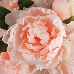 New ❤️ Coral Peony Bush by Ashland® 🧨 -Ashlandty Shop 10547347 2