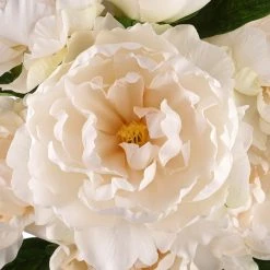 Best Sale ⭐ Cream Peony Bush by Ashland® 🔥 -Ashlandty Shop 10547348 2
