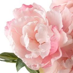 Wholesale ❤️ Pink Peony Bush by Ashland® 🧨 9 Wholesale ❤️ Pink Peony Bush by Ashland® 🧨 -Ashlandty Shop 10547349 20
