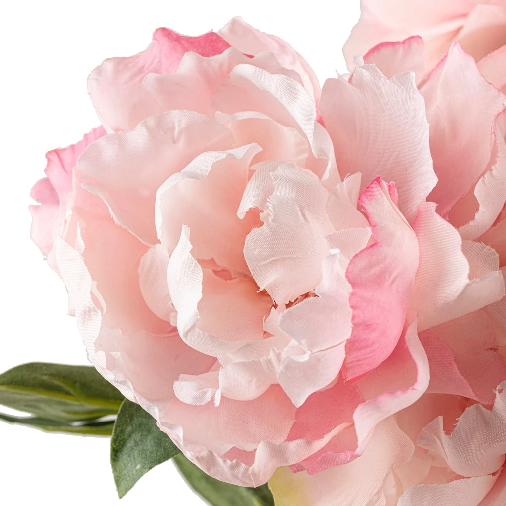 Wholesale ❤️ Pink Peony Bush by Ashland® 🧨 5 Wholesale ❤️ Pink Peony Bush by Ashland® 🧨 - Image 3