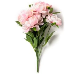 Wholesale ❤️ Pink Peony Bush by Ashland® 🧨 11 Wholesale ❤️ Pink Peony Bush by Ashland® 🧨 -Ashlandty Shop 10547349 21