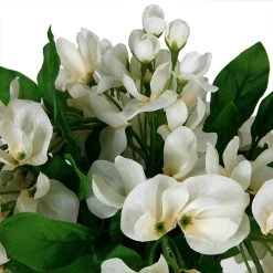 Wholesale 👍 Cream Wisteria Bush by Ashland® 😍 -Ashlandty Shop 10547398 2