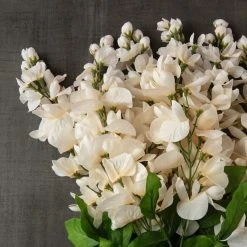 Wholesale 👍 Cream Wisteria Bush by Ashland® 😍 -Ashlandty Shop 10547398 25