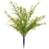 Buy 🎉 Springeri Bush by Ashland® 🌟 -Ashlandty Shop 10547458 1