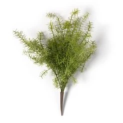 Buy 🎉 Springeri Bush by Ashland® 🌟 -Ashlandty Shop 10547458 21