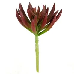 Promo ⌛ Assorted Succulent Pick By Ashland® 🎉 -Ashlandty Shop 10547488 1