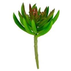 Promo ⌛ Assorted Succulent Pick By Ashland® 🎉 -Ashlandty Shop 10547488 3