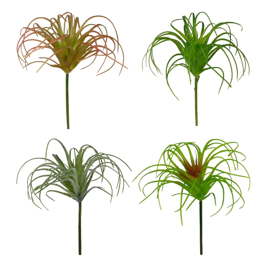 Outlet ❤️ 24 Pack: Assorted Tillandsia Pick by Ashland® 🤩 3 Outlet ❤️ 24 Pack: Assorted Tillandsia Pick by Ashland® 🤩