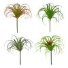 Cheap ✨ Assorted Tillandsia Pick By Ashland® ⭐ -Ashlandty Shop 10547489