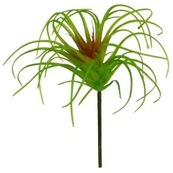 Outlet ❤️ 24 Pack: Assorted Tillandsia Pick by Ashland® 🤩 8 Outlet ❤️ 24 Pack: Assorted Tillandsia Pick by Ashland® 🤩 -Ashlandty Shop 10547489 3 1