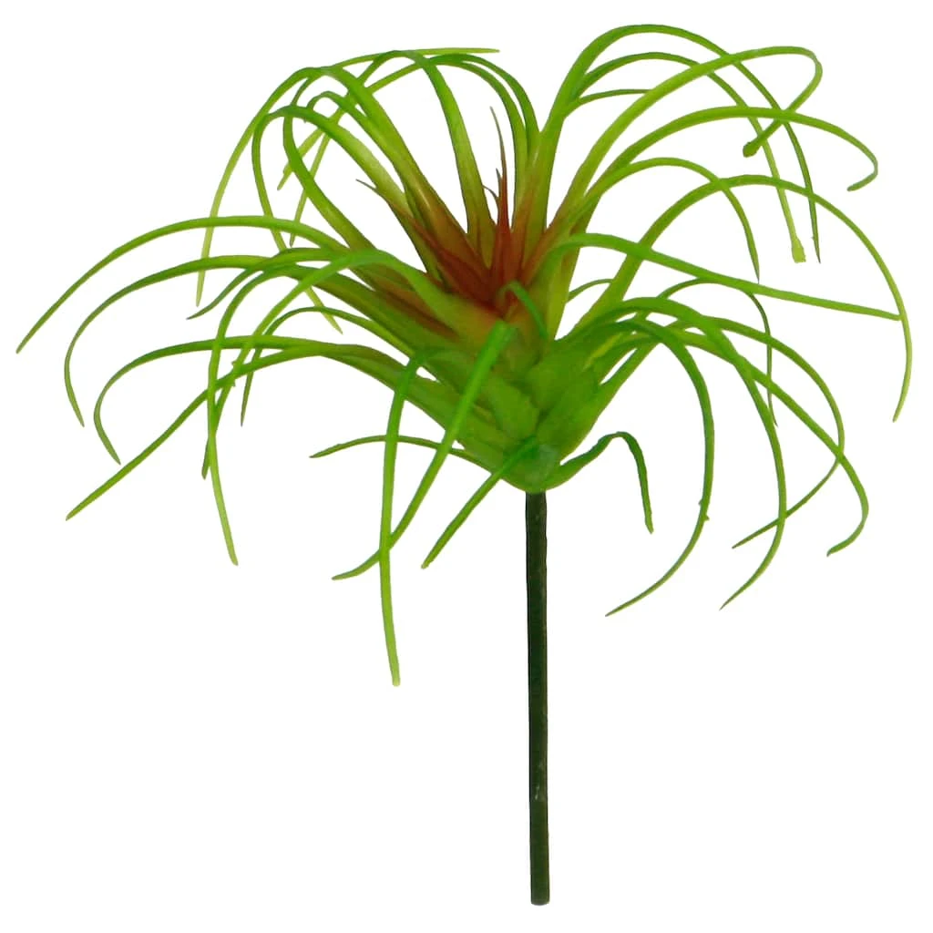 Outlet ❤️ 24 Pack: Assorted Tillandsia Pick by Ashland® 🤩 5 Outlet ❤️ 24 Pack: Assorted Tillandsia Pick by Ashland® 🤩 - Image 3