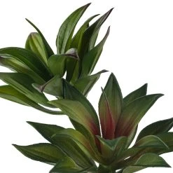 Coupon 😍 Assorted Agave Pick By Ashland® 🥰 -Ashlandty Shop 10547490 20