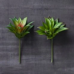 Coupon 😍 Assorted Agave Pick By Ashland® 🥰 -Ashlandty Shop 10547490 22