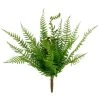 Cheapest π 8 Pack: Green Boston Fern Bush by Ashland® π 1 Cheapest π 8 Pack: Green Boston Fern Bush by Ashland® π -Ashlandty Shop 10547493