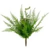 Budget ✨ Boston Fern Bush by Ashland® 😀 -Ashlandty Shop 10547493 1