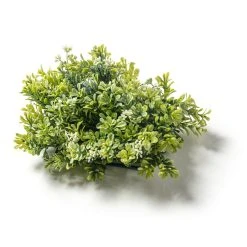 Cheapest ❤️ Green Boxwood Mat by Ashland® ⭐ -Ashlandty Shop 10547534 21