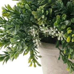 Cheapest ⭐ Premade Boxwood Bush by Ashland® 🎁 -Ashlandty Shop 10547538 20