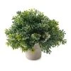 Cheapest ⭐ Premade Boxwood Bush by Ashland® 🎁 -Ashlandty Shop 10547538 21