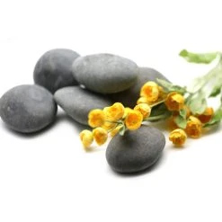 Cheap 😍 16 Pack: Large Washed Black Stones by Ashland™ ✨ -Ashlandty Shop 10552993 3 1