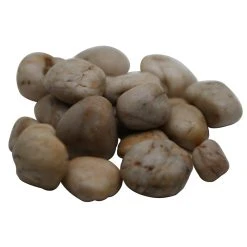 Coupon ⭐ 16 Pack: Brown River Rocks by Ashland® 🎁