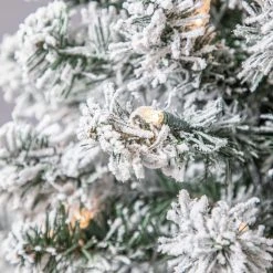 Best reviews of ✔️ 4ft. Pre-Lit Cypress Artificial 💯 Christmas Tree, Clear Lights by Ashland® 🤩 -Ashlandty Shop 10599014 11