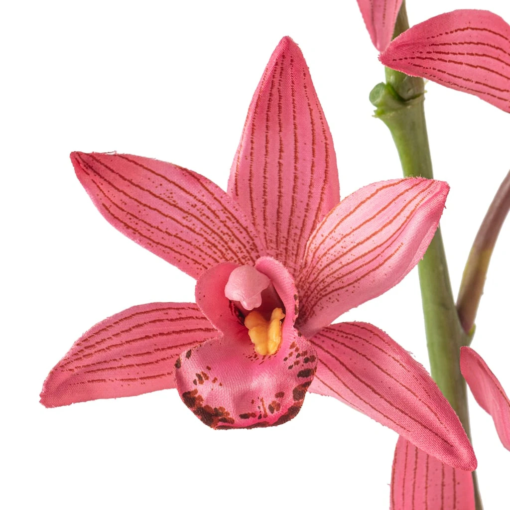 Brand new β¨ Mauve Boat Orchid Spray by Ashland® π 5 Brand new β¨ Mauve Boat Orchid Spray by Ashland® π - Image 3