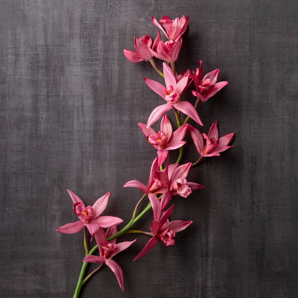 Brand new β¨ Mauve Boat Orchid Spray by Ashland® π 4 Brand new β¨ Mauve Boat Orchid Spray by Ashland® π - Image 2