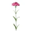 Best Sale 🤩 24 Pack: Hot Pink Carnation Stem by Ashland® 😀 -Ashlandty Shop 10626417 1