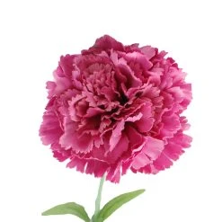Best Sale 🤩 24 Pack: Hot Pink Carnation Stem by Ashland® 😀 -Ashlandty Shop 10626417 2