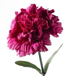 Best reviews of ⌛ Hot Pink Carnation Stem by Ashland® 💯 -Ashlandty Shop 10626417 20