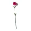 Best reviews of ⌛ Hot Pink Carnation Stem by Ashland® 💯 -Ashlandty Shop 10626417 21