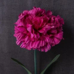 Best reviews of ⌛ Hot Pink Carnation Stem by Ashland® 💯 -Ashlandty Shop 10626417 22
