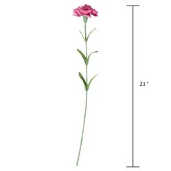 Best Sale 🤩 24 Pack: Hot Pink Carnation Stem by Ashland® 😀 -Ashlandty Shop 10626417 3 1