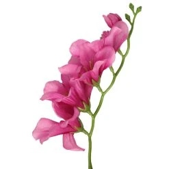 Buy 😀 12 Pack: Hot Pink Freesia Spray by Ashland® 👍 -Ashlandty Shop 10626419 2