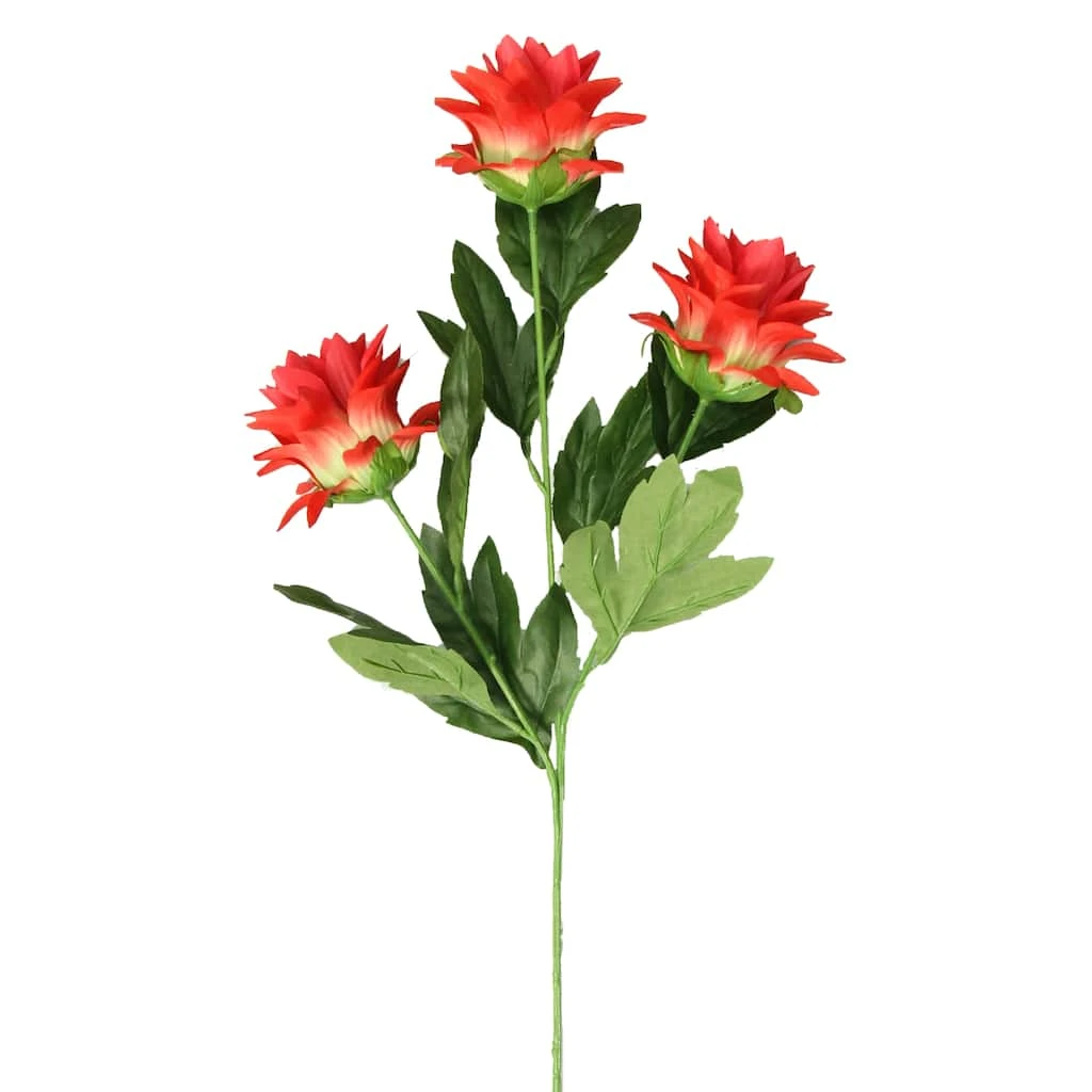 Hot Sale 🥰 12 Pack: Red Hops Stem by Ashland® 😉 3 Hot Sale 🥰 12 Pack: Red Hops Stem by Ashland® 😉