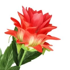 Hot Sale 🥰 12 Pack: Red Hops Stem by Ashland® 😉 9 Hot Sale 🥰 12 Pack: Red Hops Stem by Ashland® 😉 -Ashlandty Shop 10626421 2