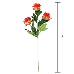 Best reviews of ❤️ Red Hops Stem by Ashland® 🎁 -Ashlandty Shop 10626421 3