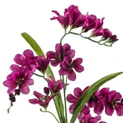 Best reviews of 👏 Hot Purple Freesia Stem by Ashland® ❤️ -Ashlandty Shop 10626423 20
