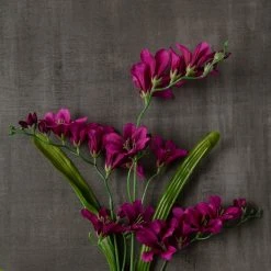 Best reviews of 👏 Hot Purple Freesia Stem by Ashland® ❤️ -Ashlandty Shop 10626423 25